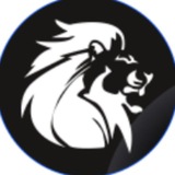 Telegram profile photo for Silver Lion Channel