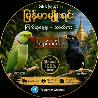 Telegram profile photo for မြန်မာ့ မျိုးရင်း ကြက်တူရွေး သာလိကာ အလှေမွေးဌက် ရောင်းဝယ်ရေး🤩🤩