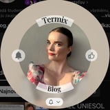 Telegram profile photo for Termix blog