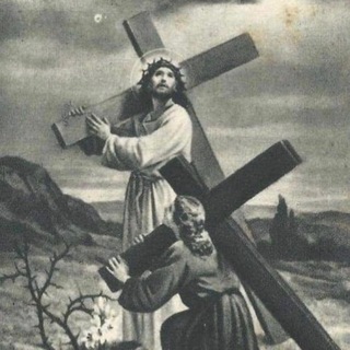 Telegram profile photo for Contemptus Mudi