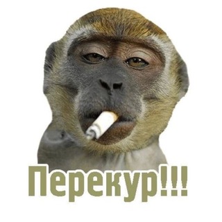 Telegram profile photo for Юмор без цензуры