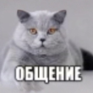 Telegram group profile photo for мoova's chat