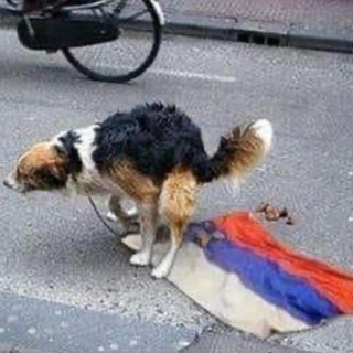 Telegram profile photo for Висєри русні 💩