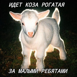 Telegram profile photo for 𝙺𝙾𝚉𝙾𝙲𝙷𝙺𝙰🐐🫧