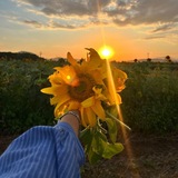 Telegram profile photo for أيّار | 𝐌𝐀𝐘 💛🌻