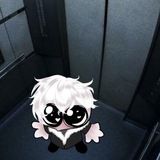 Telegram profile photo for 🟥Хиккарня🟪