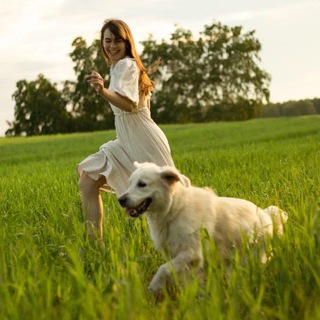 Telegram profile photo for Яжесобачники🐶