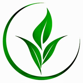 Telegram profile photo for «Семенная Станция»