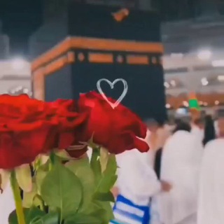 Telegram profile photo for ئاینی ئیسلام