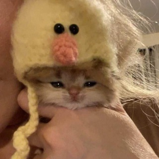 Telegram profile photo for No-brain activity