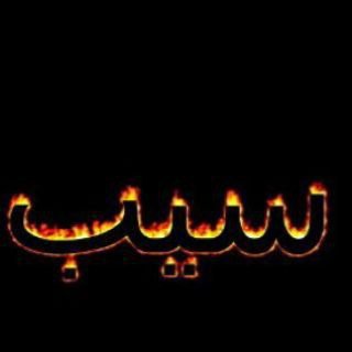 Telegram profile photo for کانال ربات های سیب