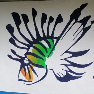 Telegram profile photo for Tropical Divers