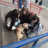 Telegram profile photo for ксюн