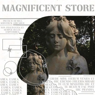 Telegram profile photo for magnificent store : close