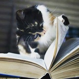 Telegram profile photo for Эпилог в титрах