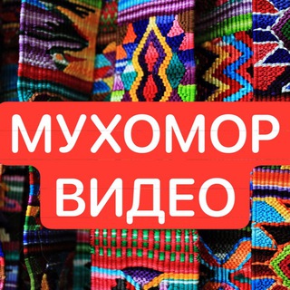 Telegram profile photo for MUHOMORSPACE Video мухоморы видео ответы