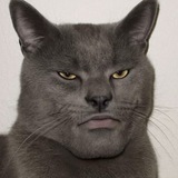 Telegram profile photo for ЧУЛАН
