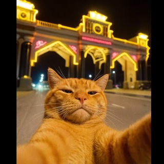 Telegram profile photo for Жоробек