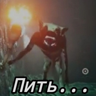 Telegram profile photo for Семья банбана!😍