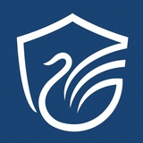 Telegram profile photo for ФК «Олимп-Долгопрудный-2»