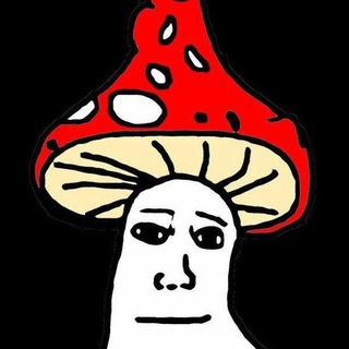 Telegram profile photo for нестача пікуючого бомбардирувача