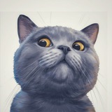 Telegram profile photo for Котики & Co - пушистый позитив 😺🐾