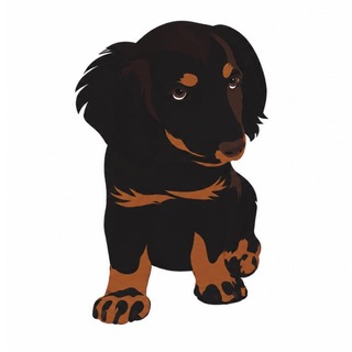 Telegram profile photo for Bowie I Elon's First Dog | SpaceX Dog