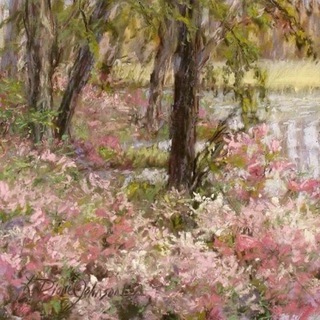 Telegram profile photo for نِبراس