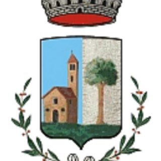 Telegram profile photo for San Carlo Canavese Notizie
