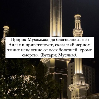 Telegram profile photo for Турецкие витамины / БАДы / Лечение по Сунне