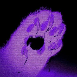 Telegram profile photo for Psycat.prod