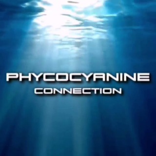 Telegram profile photo for PHYCOCYANINE CONNECTION