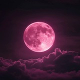 Telegram profile photo for 𝑀𝑜𝑜𝓃𝓈𝒽𝒾𝓃𝑒