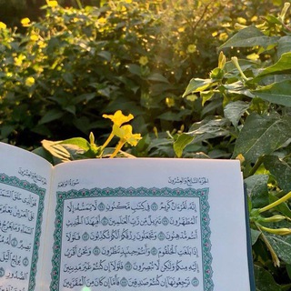 Telegram profile photo for الفُرقانَ.
