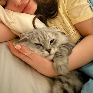 Telegram profile photo for Eseningirl