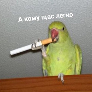 Telegram profile photo for Хроники 🦜
