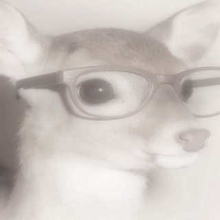Telegram profile photo for гëка🤍