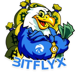 Telegram profile photo for Bitflyx Analytics