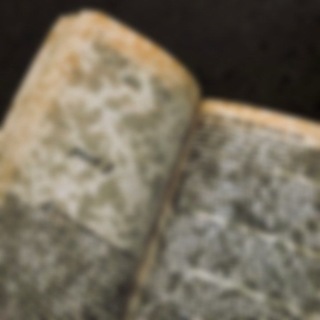 Telegram profile photo for чат для писателей