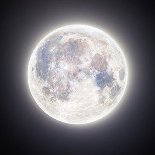 Telegram profile photo for Moon🌖