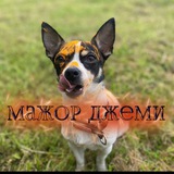 Telegram profile photo for Jamie mauger🖤
