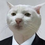 Telegram profile photo for Відповідниця 💬