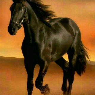 Telegram profile photo for دهکده ی حیوانات