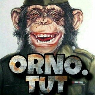 Telegram profile photo for orno.tut