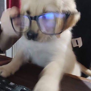 Telegram profile photo for северные ветра