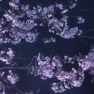 Telegram profile photo for фукавина чототам