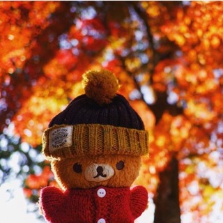 Telegram profile photo for Каріна балакає 🎙️🍁