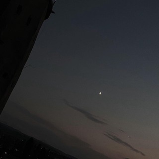 Telegram profile photo for Likely PubgM