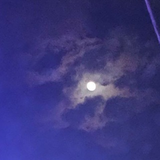 Telegram profile photo for دفترچه مجازی