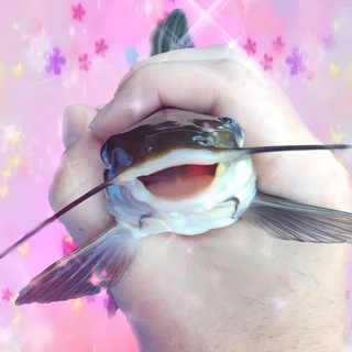 Telegram profile photo for Рыбки🎏Bess🎏РЕСТ
